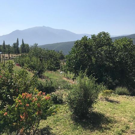Els Pirineus Apartman Moltig les Bains Kültér fotó